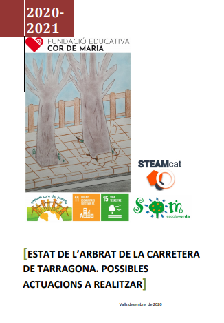 Document de treball Desembre 2020