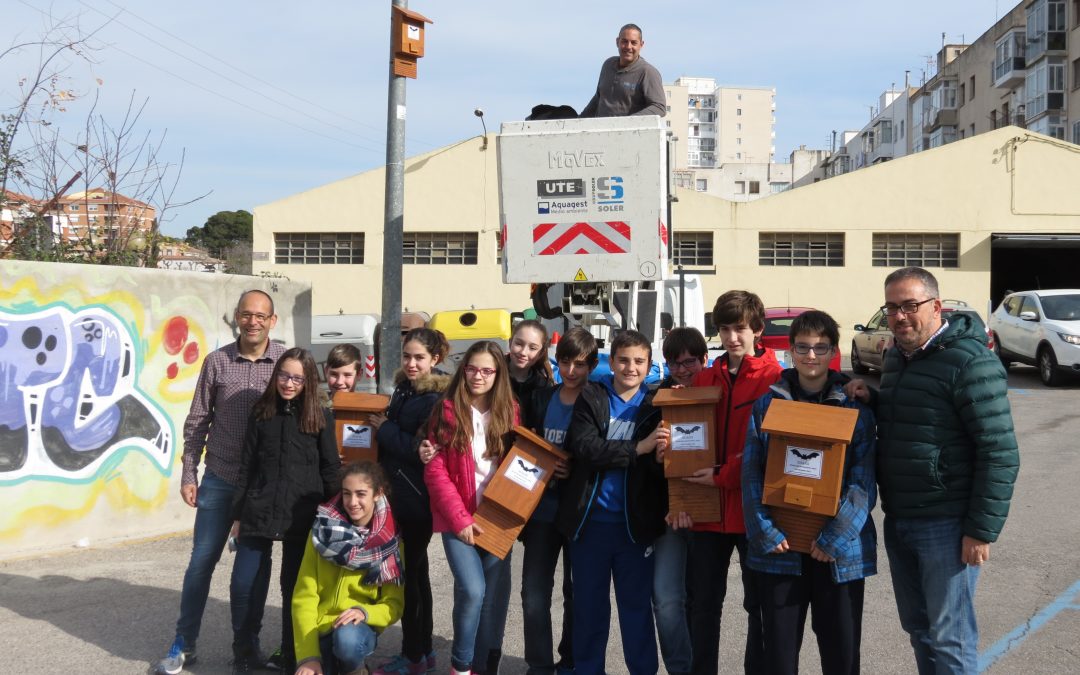 24 de febrer de 2016. S’inicia la col·locació de les primeres caixes niu per ratapatxets a Valls
