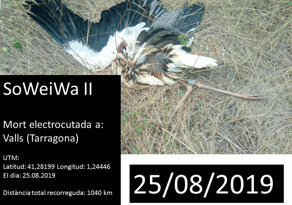 SoWeiWa II