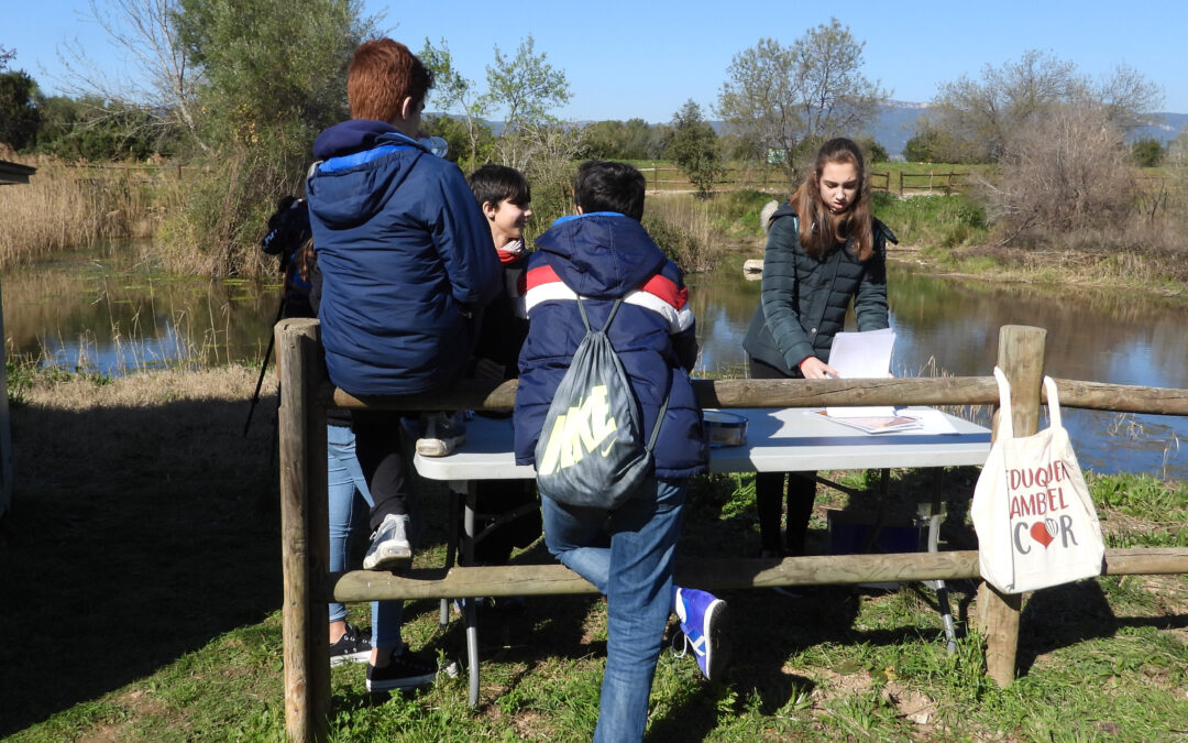 Sortida ornitològica als aiguamolls del Pla de Santa Maria