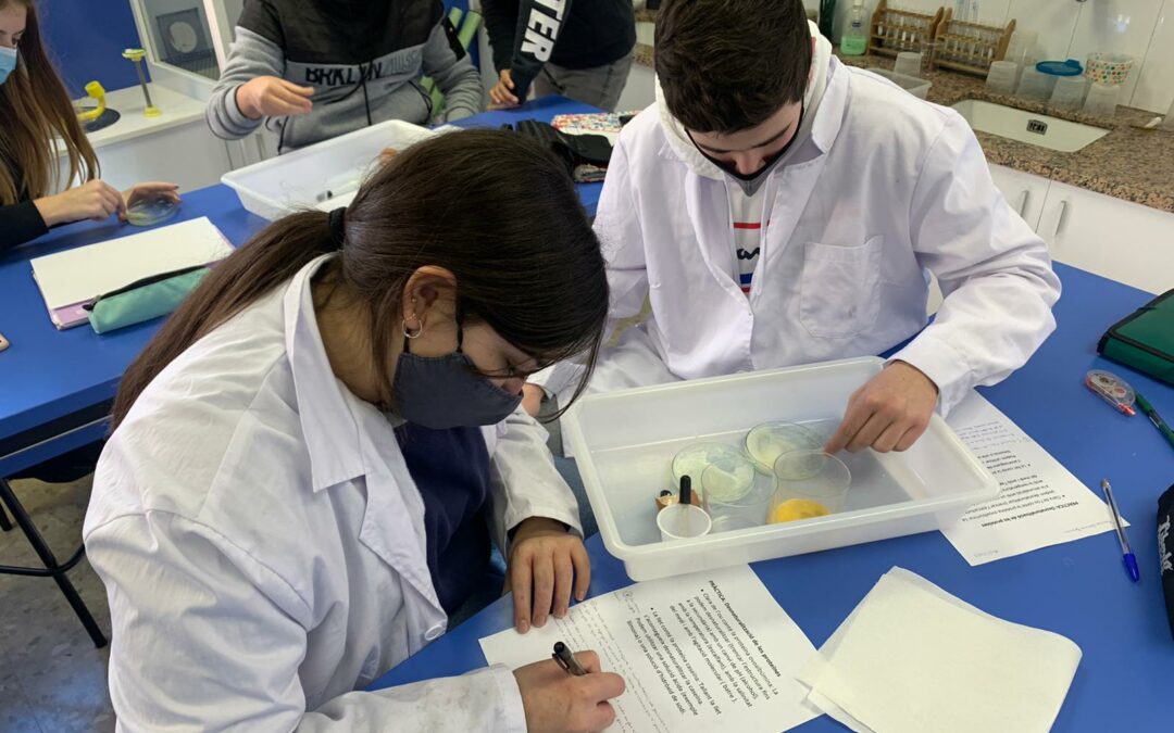 alumnes de 4t d’ESO experimentant amb les proteïnes