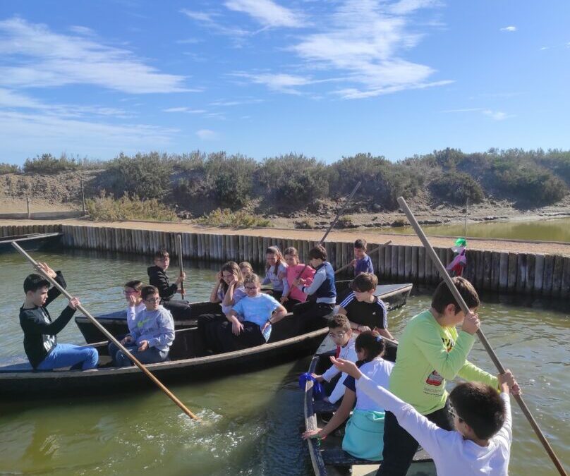 Els alumnes de 6è de Primària de Cor de Maria visiten el Món Natura al Delta de l’Ebre 