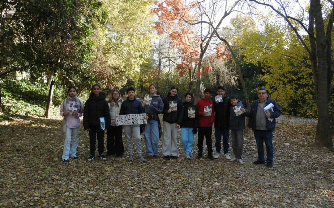 EL COL·LEGI COR DE MARIA PARTICIPA EN EL PROJECTE OCELLS DE JARDINS PER A ESCOLES 